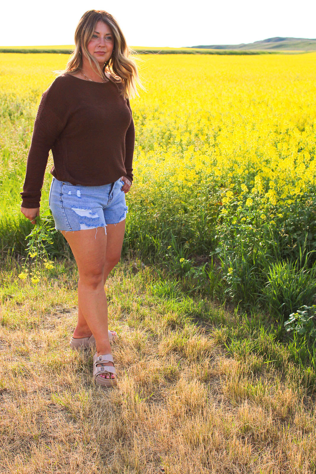 Luna Long Sleeve Light Weight Sweater in Brown