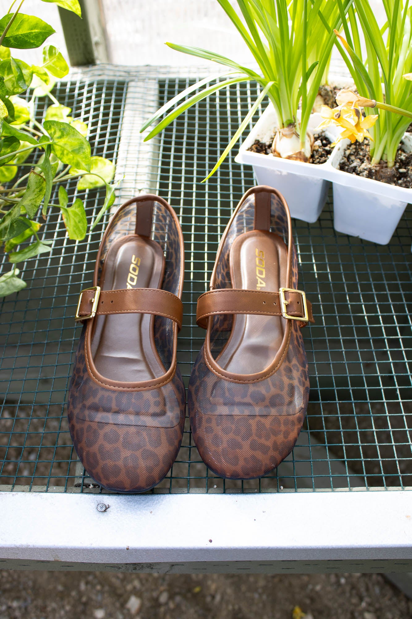 Miami Leopard Print Mesh Mary Jane Flats
