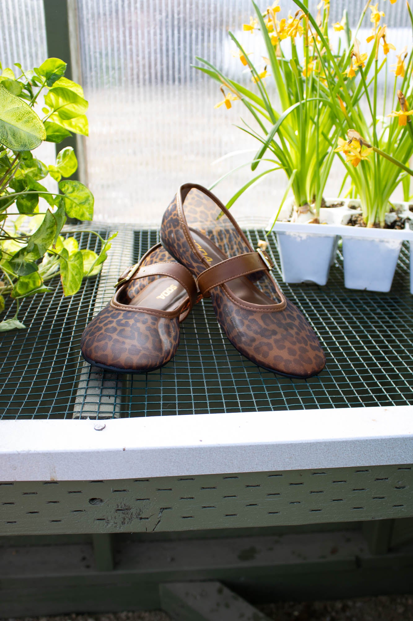 Miami Leopard Print Mesh Mary Jane Flats