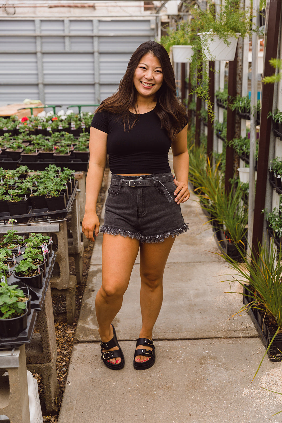 Sasha Short Sleeve Crop Top-Black