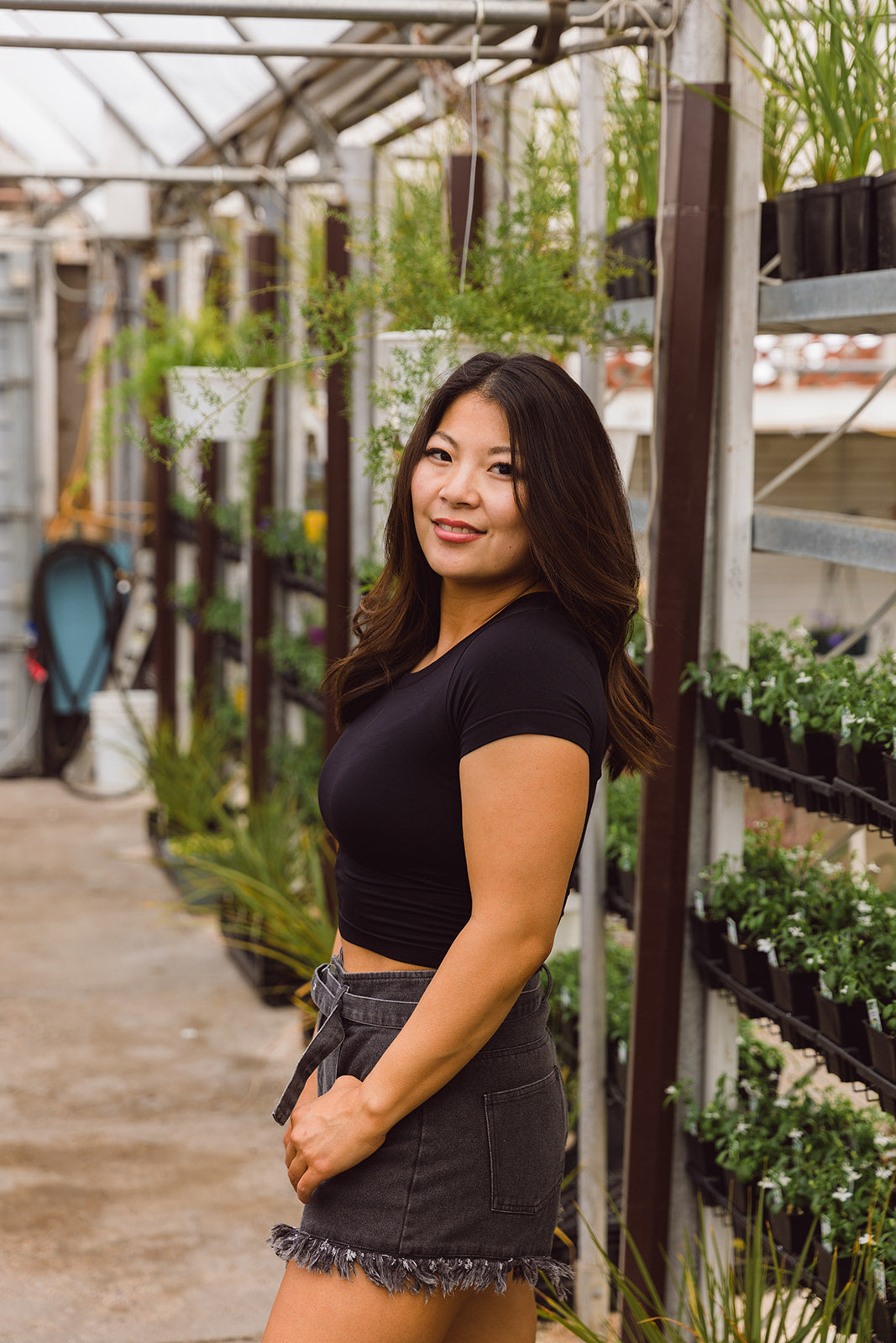 Sasha Short Sleeve Crop Top-Black