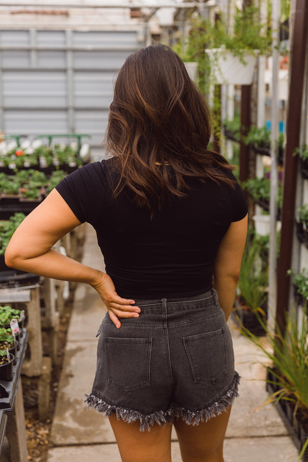 Sasha Short Sleeve Crop Top-Black