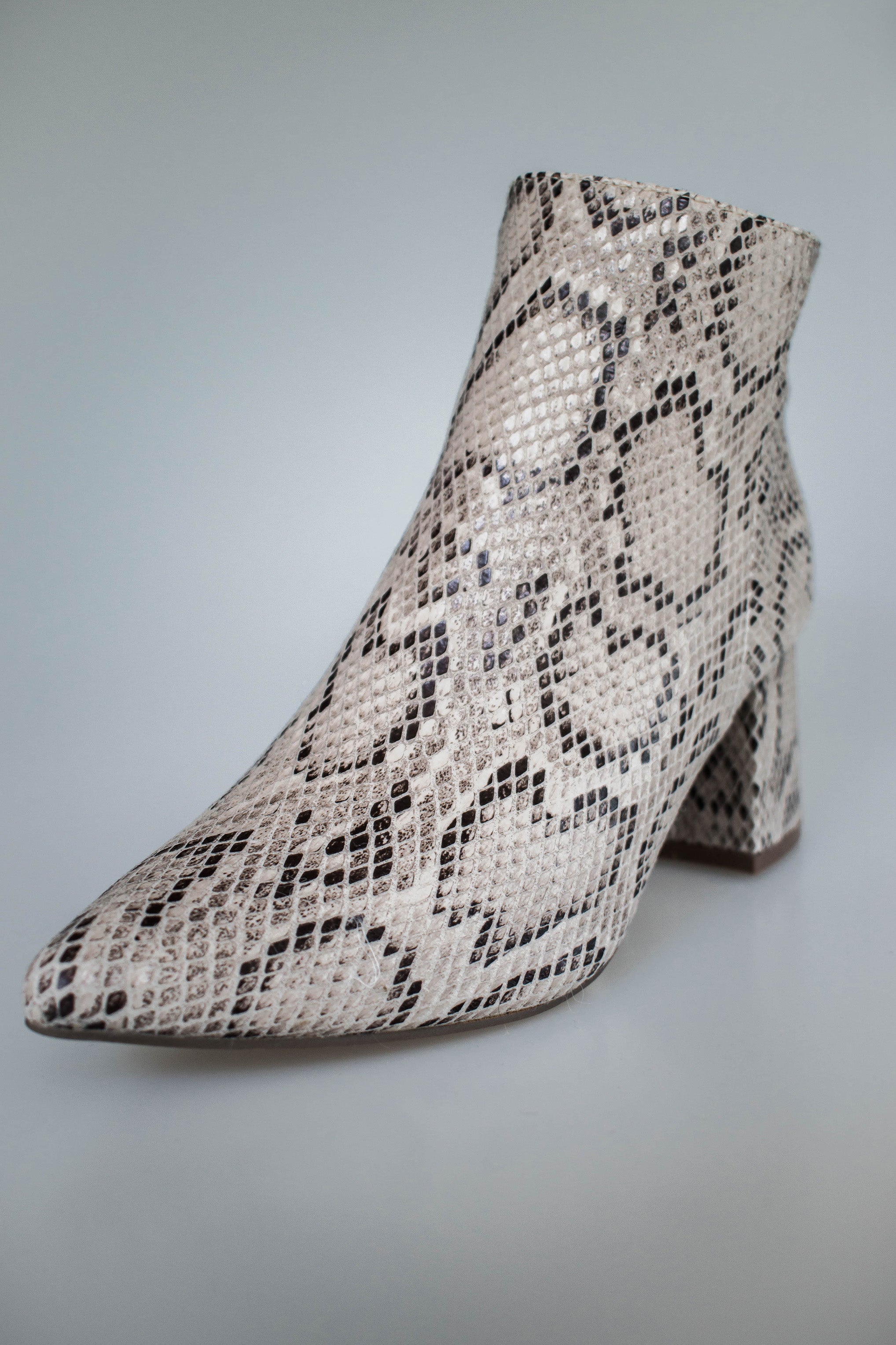 Alden Snake Bootie