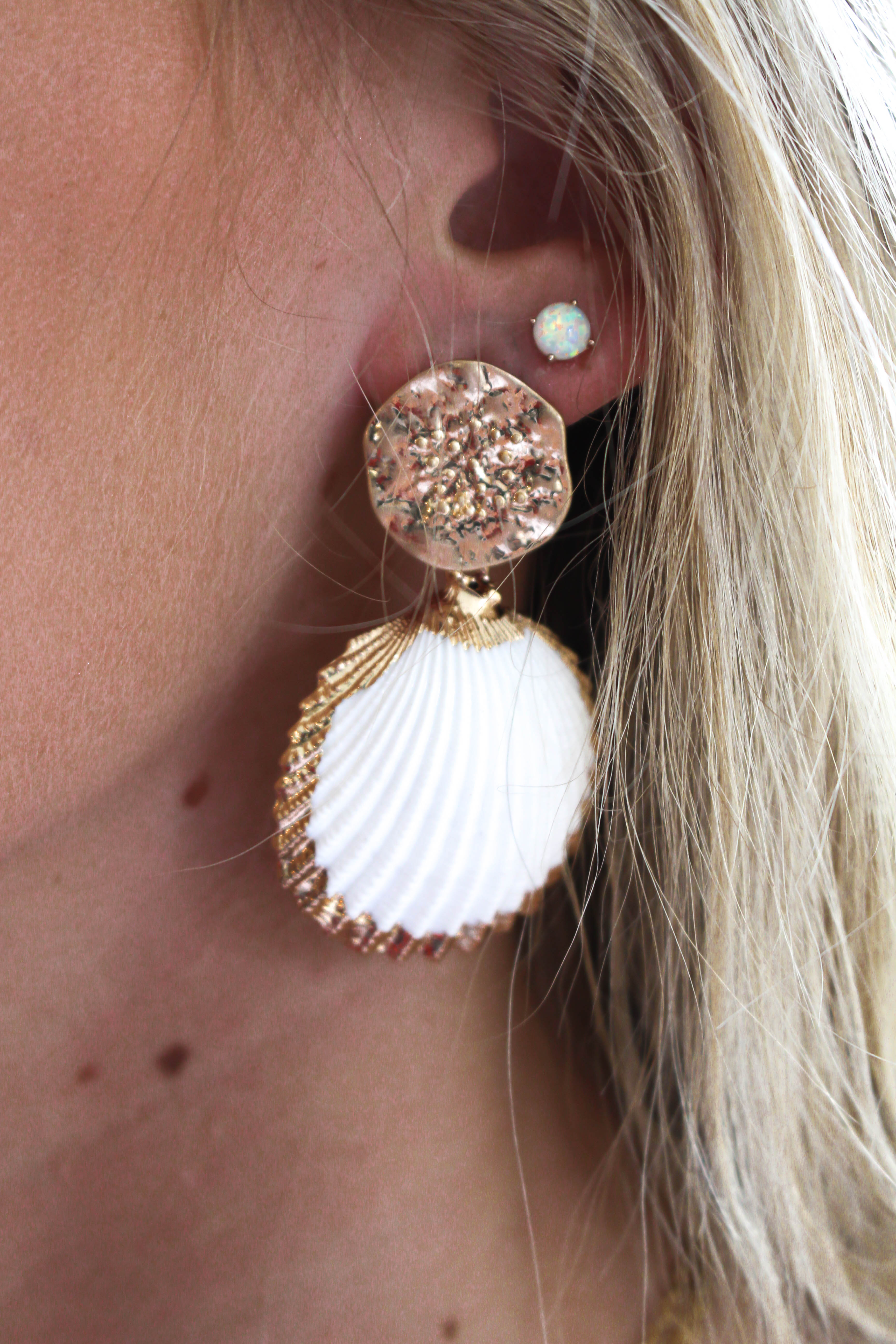 Ark Shell Drop Earring