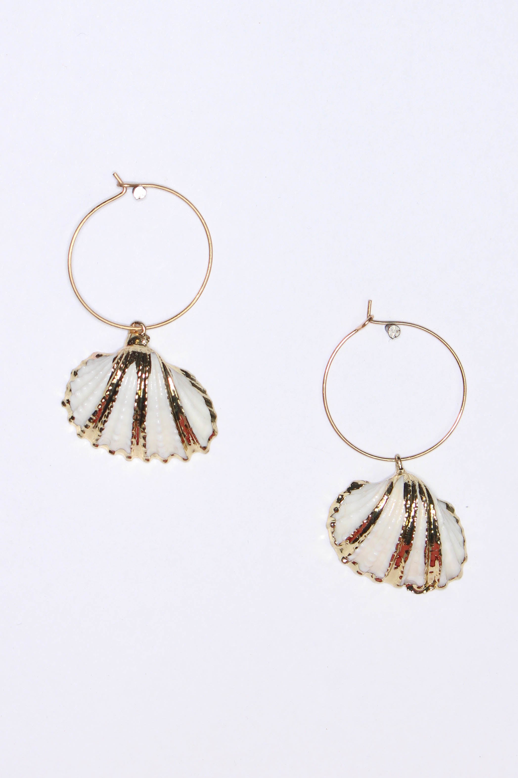 Ark Shell Hoop Earring