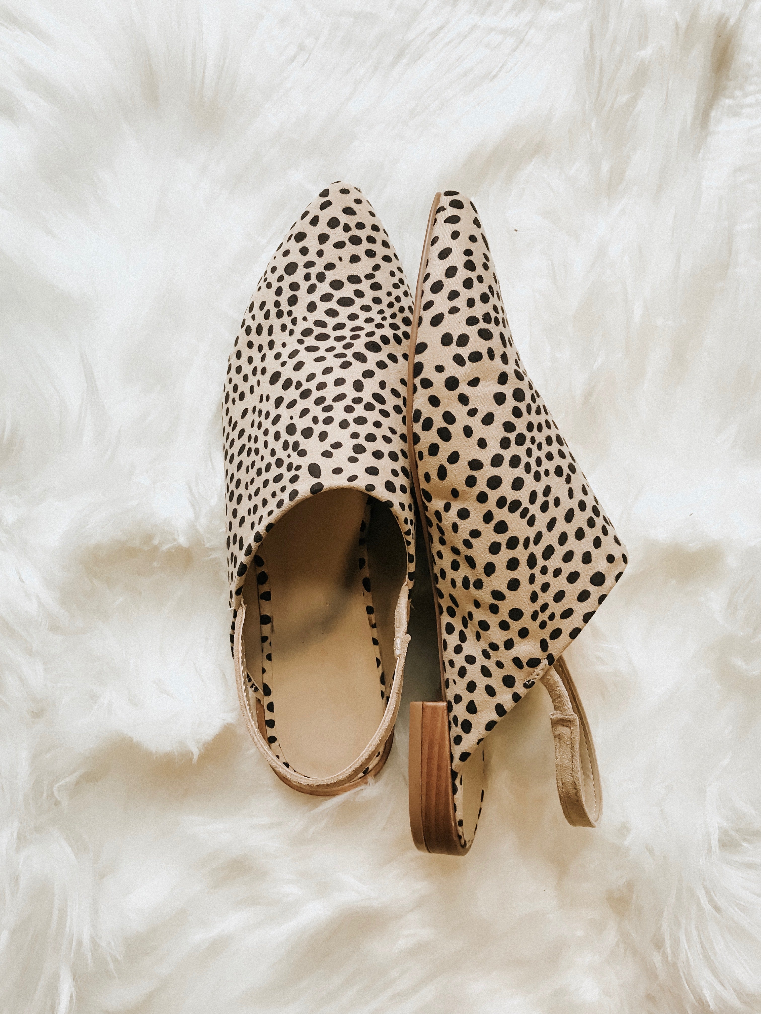 East River Cheetah Flat