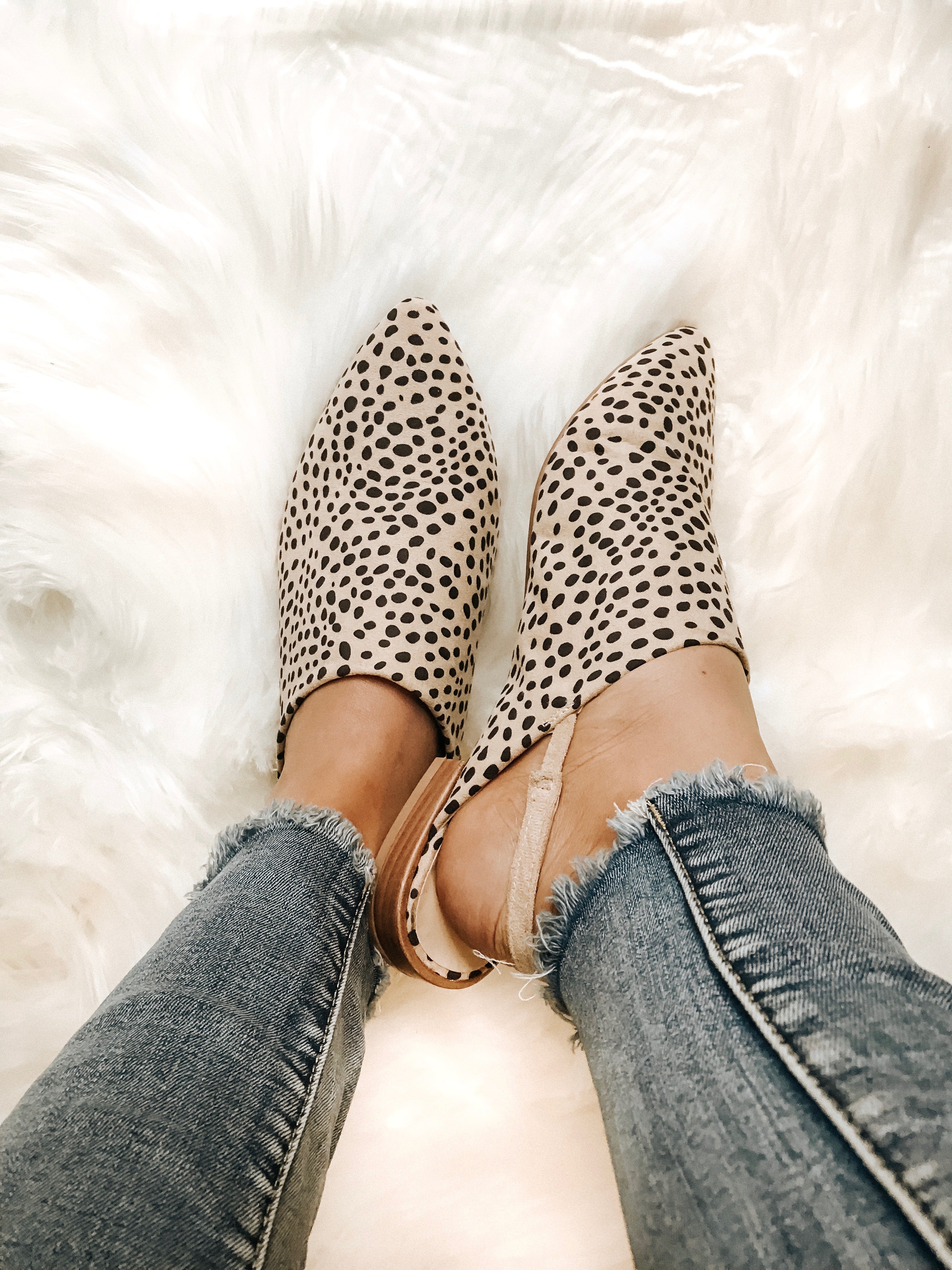 East River Cheetah Flat