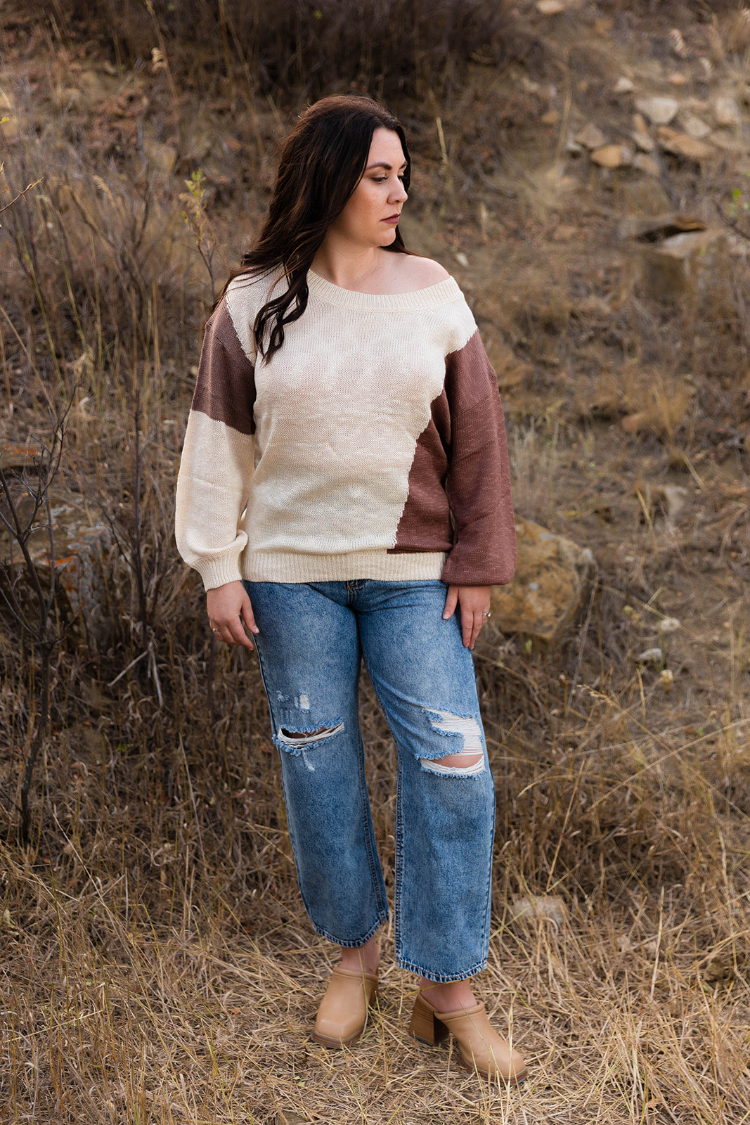 Nikki Long Sleeve Colorblock Sweater