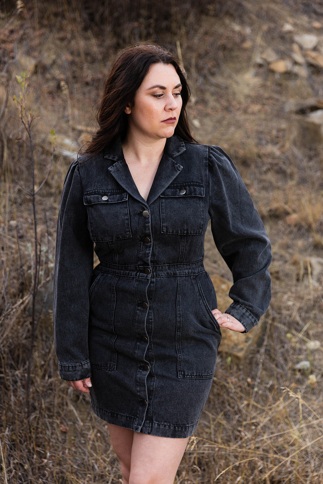 Stevie Denim Dress