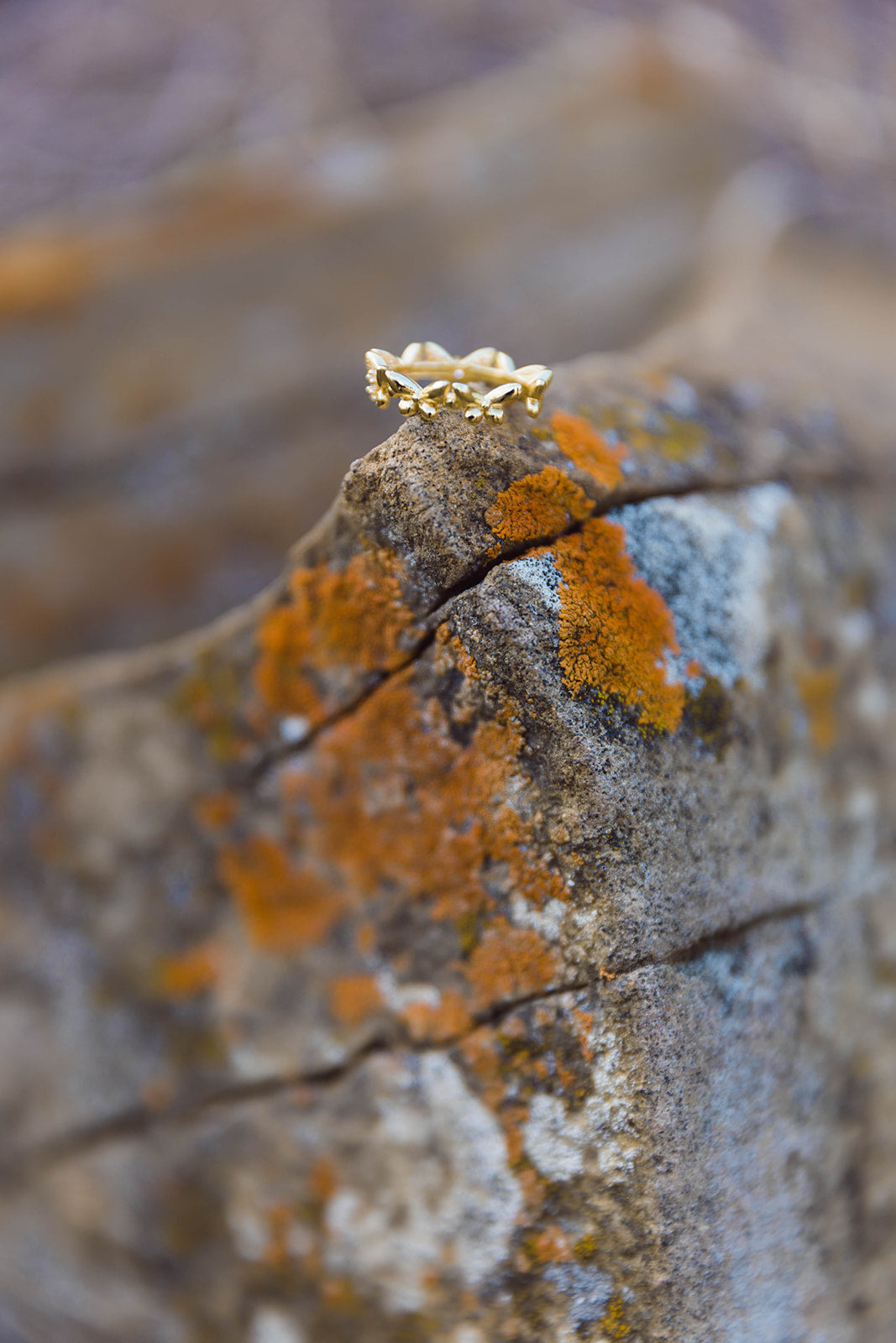 Gold & Rhinestone Butterfly Ring