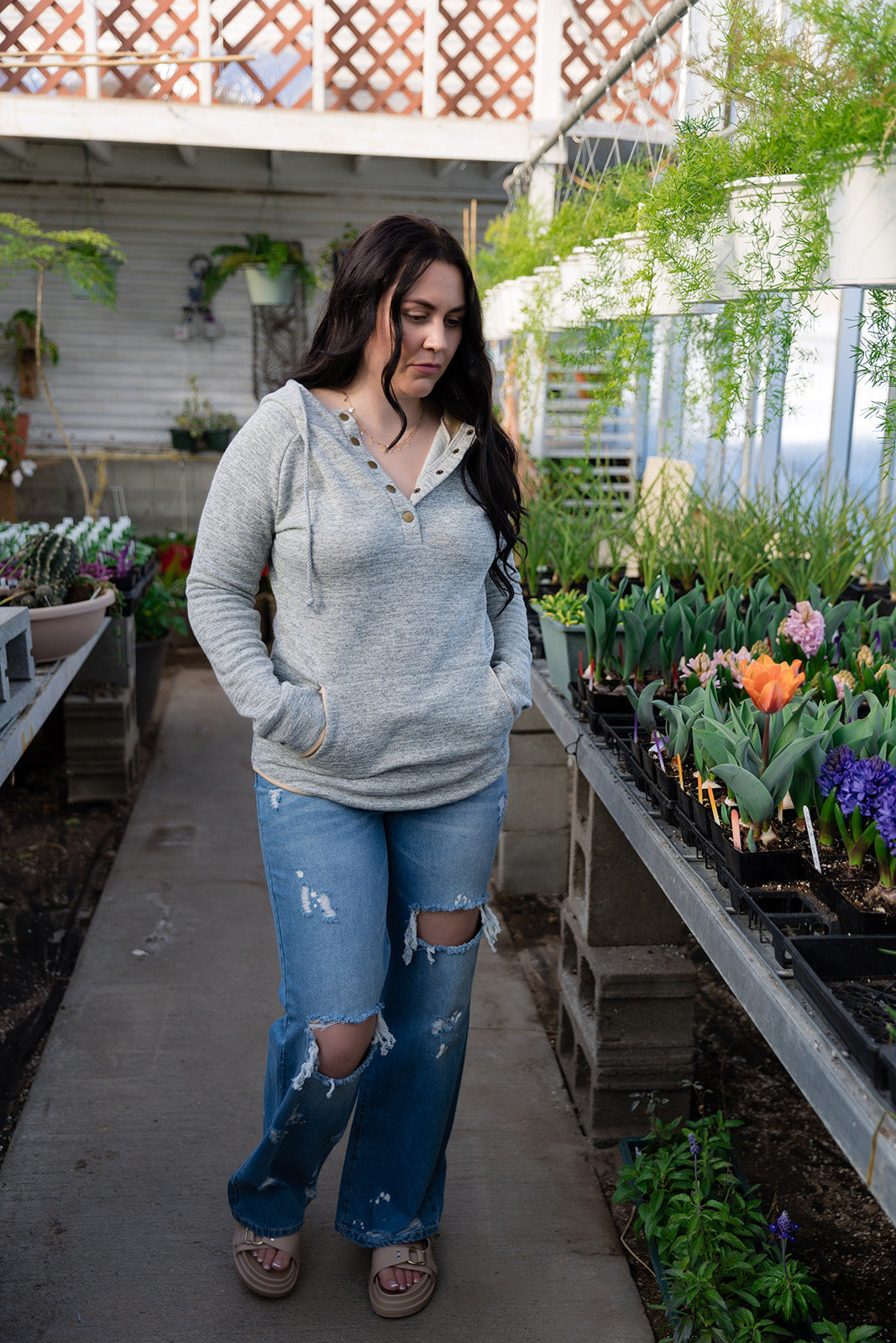Briar Snap Front Hoodie in Gray/Brown