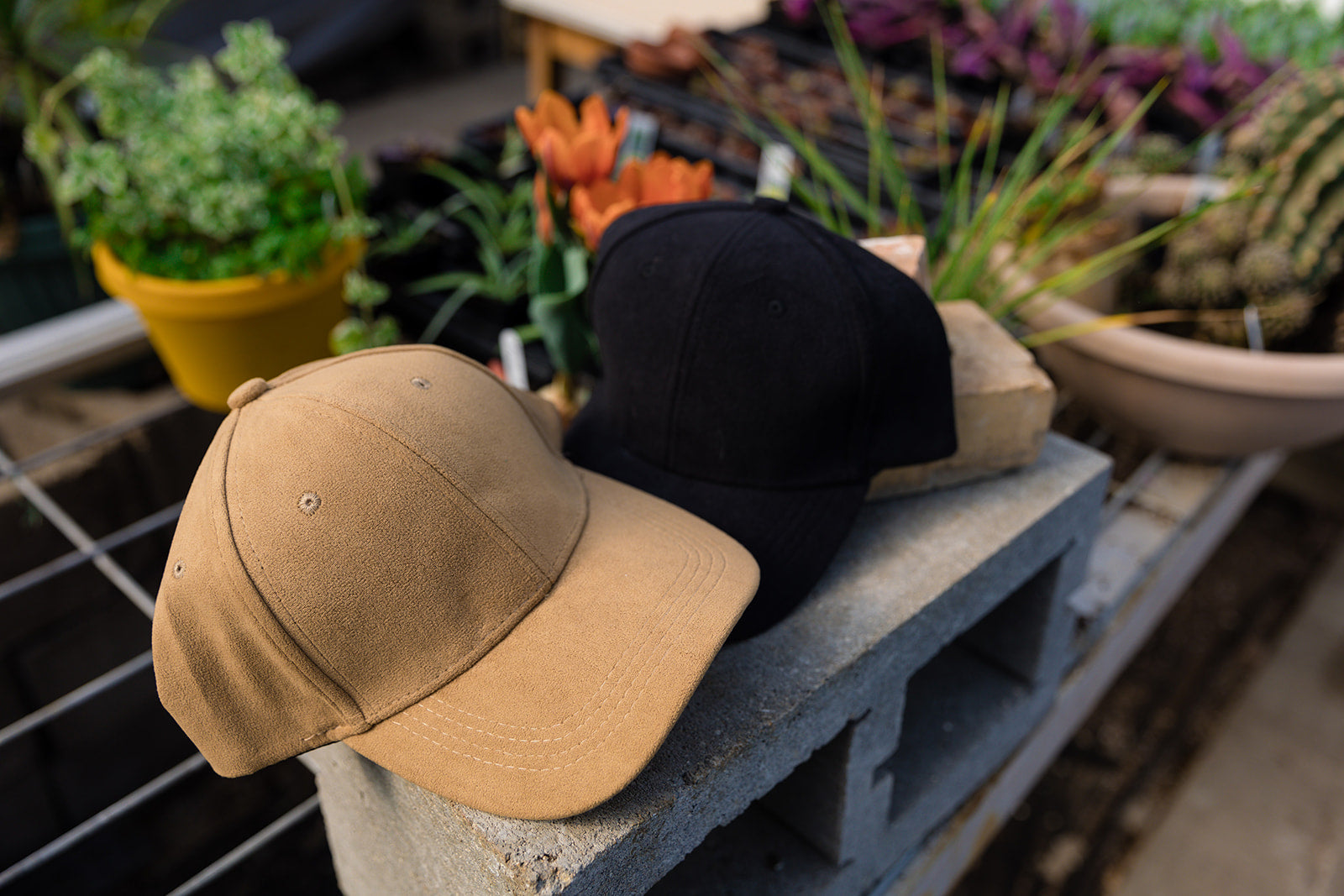 Ashley Classic Baseball Cap