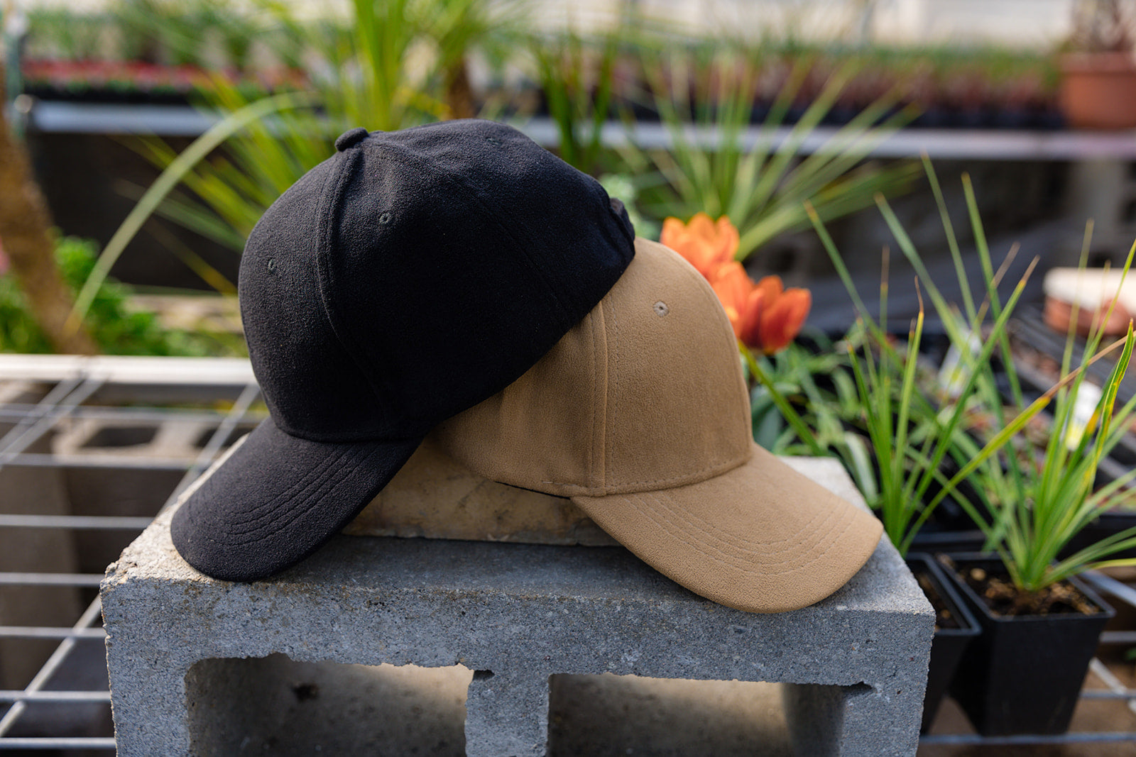 Ashley Classic Baseball Cap