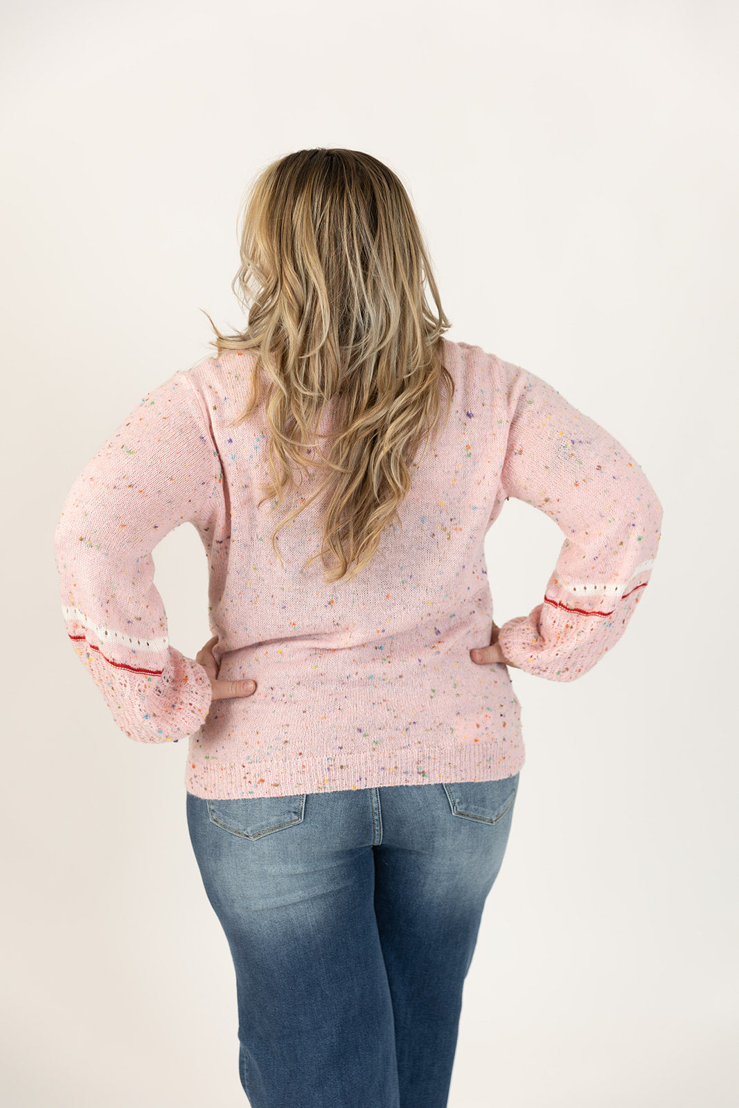 Dolly Long Sleeve Confetti Sweater Curvy