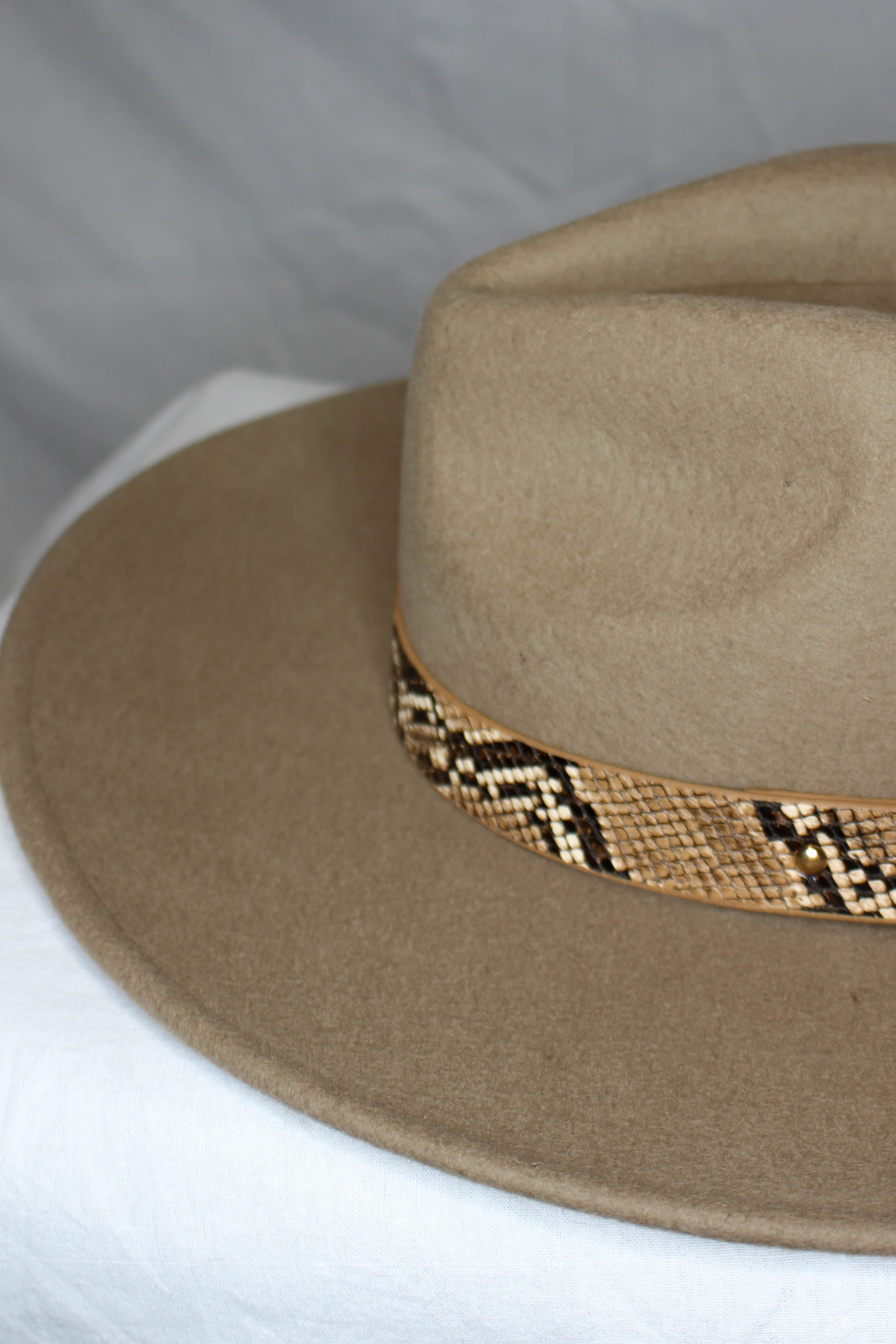 Mesa Snake Band Hat