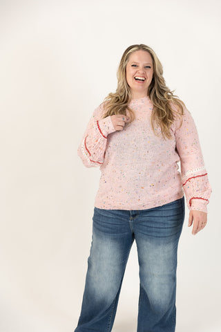 Nikki Long Sleeve Colorblock Sweater Curvy