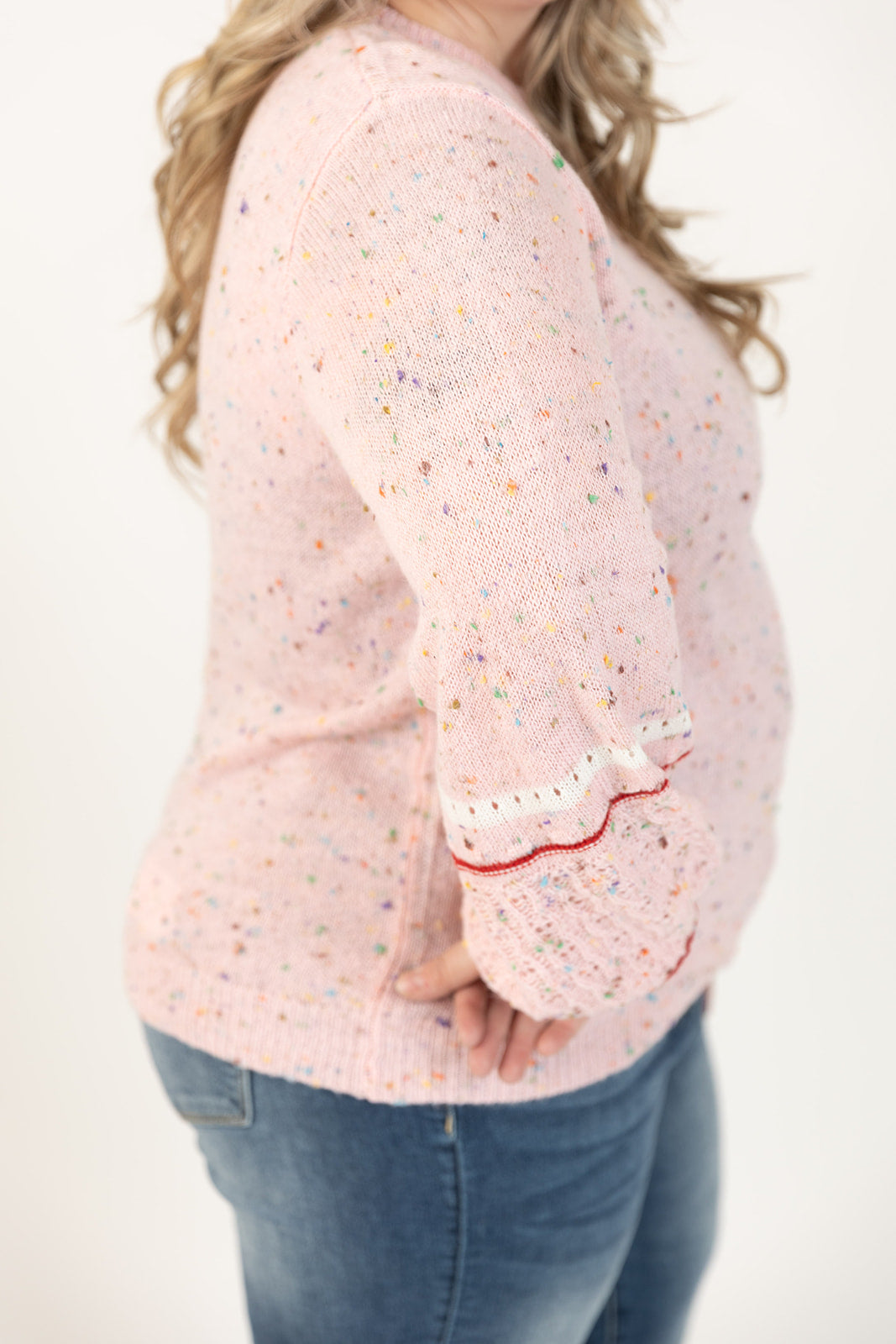 Dolly Long Sleeve Confetti Sweater Curvy
